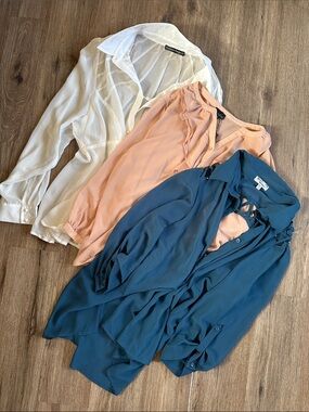 Zenobia Sheer White, Blush Pink, and Teal Blue Blouse Trio